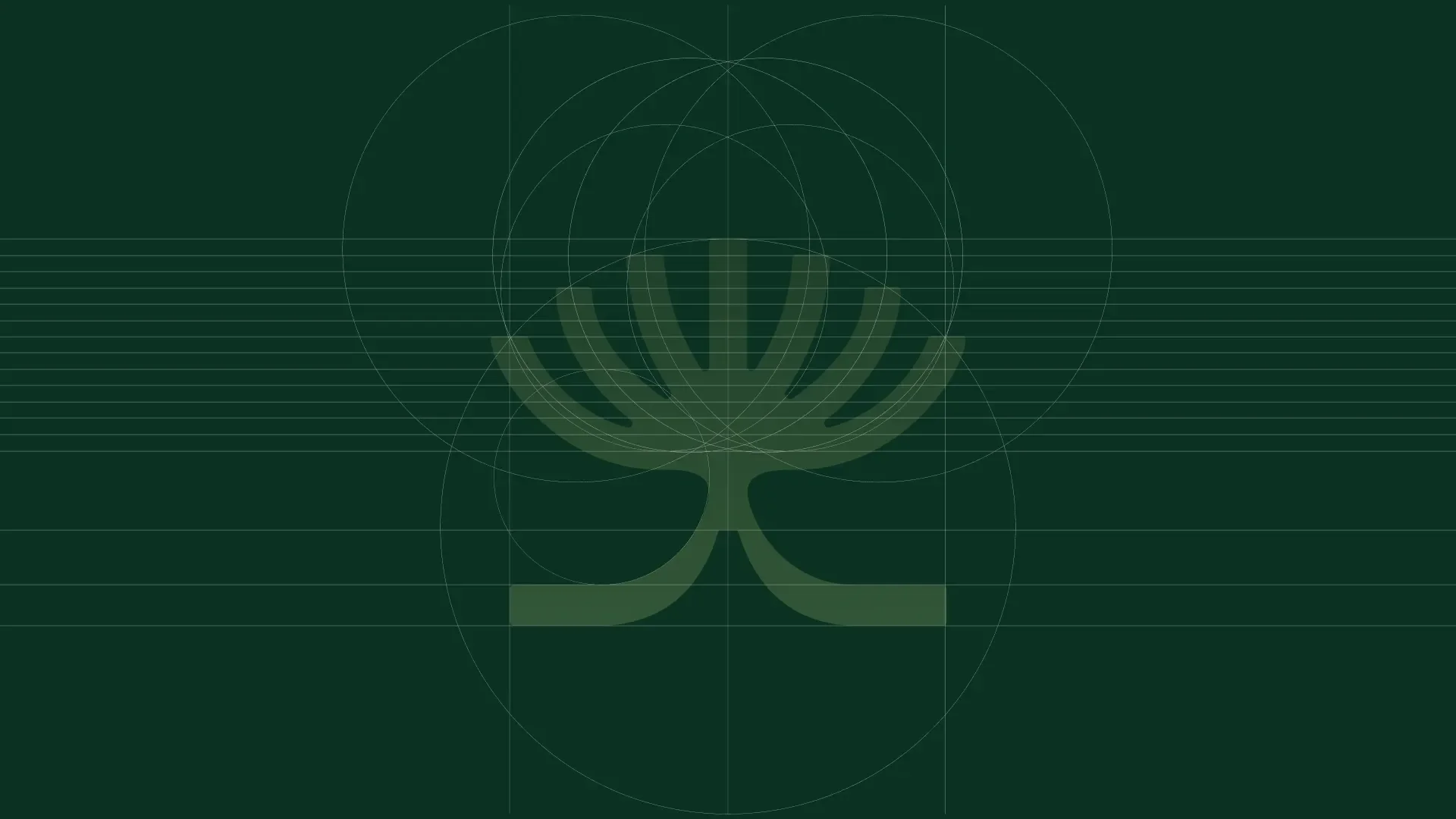 Viva® - Media 2