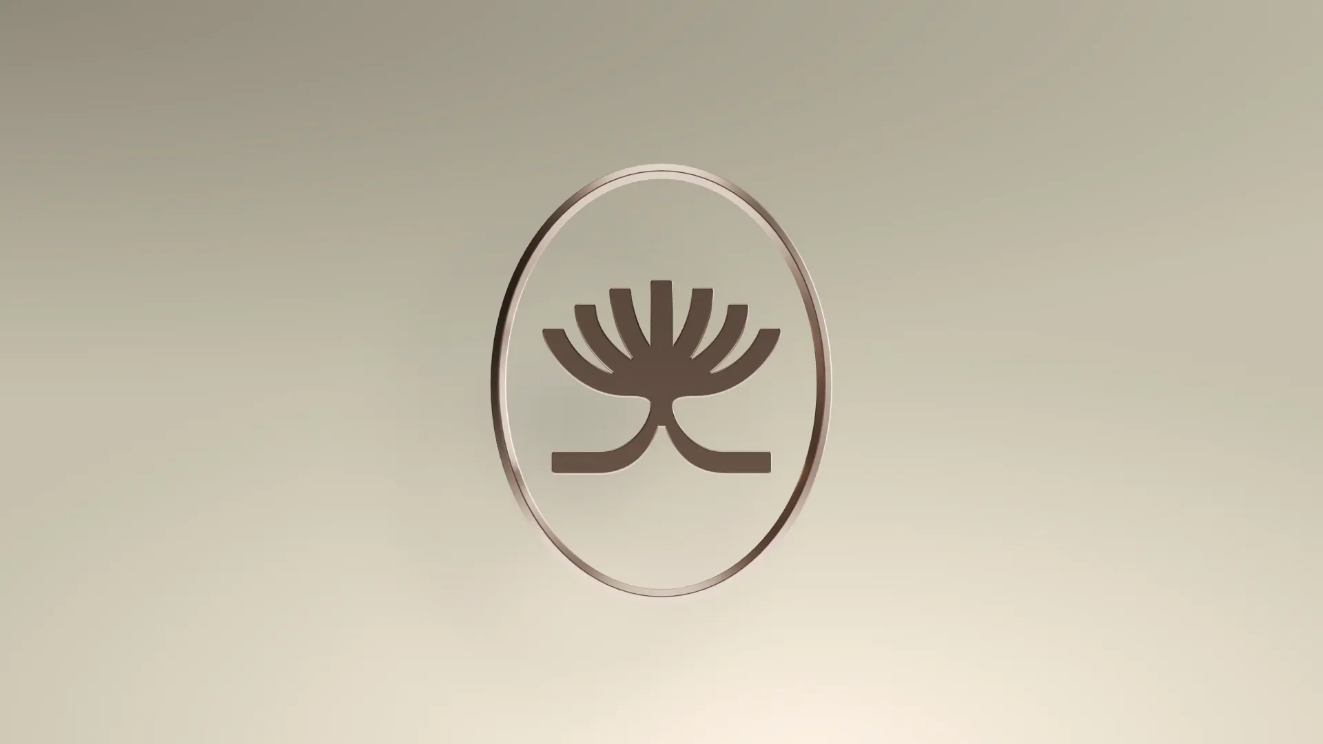 Viva® - Media 5