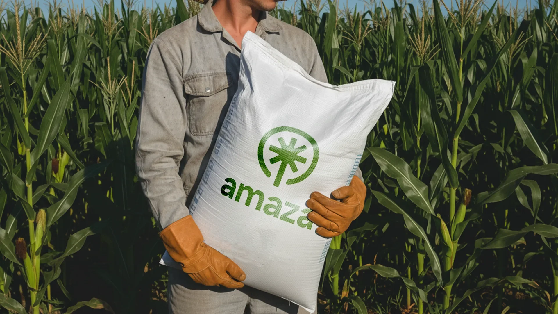 Amaza® - Media 3
