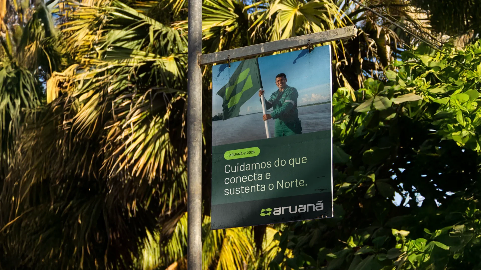 Aruanã® - Media 7